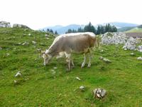 Wanderung auf der Schwägalp