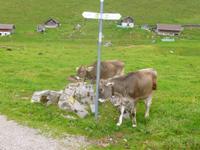 Wanderung auf der Schwägalp