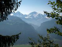 Blick zum Jungfraujoch
