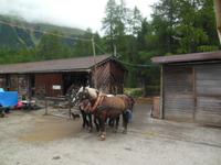 Kutschfahrt ins Val Roseg 