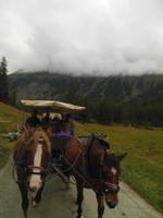 Kutschfahrt ins Val Roseg 