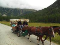 Kutschfahrt ins Val Roseg 
