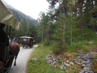 Kutschfahrt ins Val Roseg 