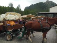 Zurück in Pontresina 