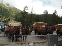 Zurück in Pontresina