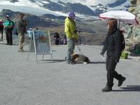 oben auf derm Gornergrat 