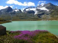 Fahrtimpressionen Bernina-Express