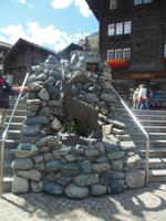 Steinbock von Zermatt beim Murmeltierbrunnen 