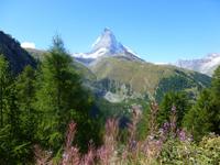 Wanderung von der Riffelalp nach Zermatt...