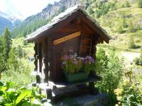 Wanderung von der Riffelalp nach Zermatt...