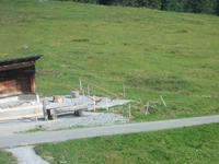 Alphörner - auf der Fahrt zum Männlichen