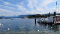 196 Luzern - Blick über den Vierwaldstätter See