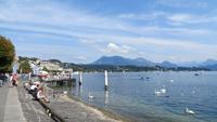 197 Luzern - Blick über den Vierwaldstätter See