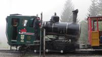 225 Fahrt mit der Brienzer Rothornbahn