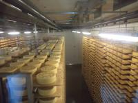 Schaukäserei Appenzell