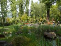 Kamelienpark in Locarno