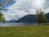 Kamelienpark in Locarno - Blick auf den Lago Maggiore