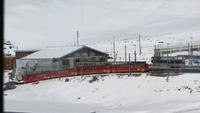 0271 Ausflug zum Jungfraujoch - Kleine Scheidegg -