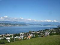 Blick auf den Zürichsee