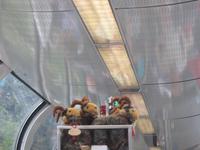 Bernina Express auf den Weg nach Tirano