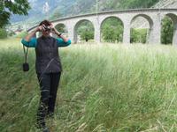 Kreisviadukt in Brusio