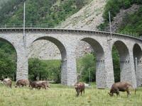 Kreisviadukt in Brusio