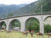 Kreisviadukt in Brusio- der Zug kommt !