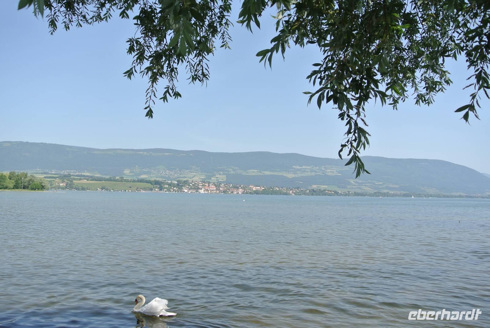 Am Neuenburger See in Yverdon les Bains