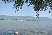Am Neuenburger See in Yverdon les Bains