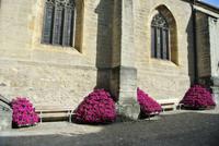 Die Kirche von Estavayer le Lac