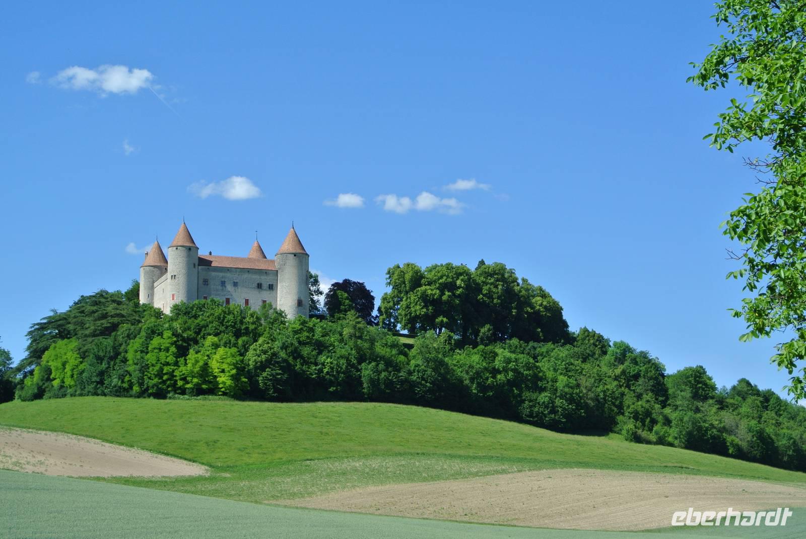 Eine der vielen Burgen auf den Ausflugsfahrten 