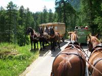 Pferdekutschfahrt ins Val Roseg