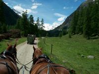 Pferdekutschfahrt ins Val Roseg