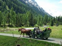 Pferdekutschfahrt ins Val Roseg