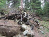 Wanderung von der Riffelalp nach Zermatt