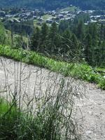 Zermatt, Wanderung nach Zmutt und Furi