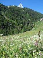 Zermatt, Wanderung nach Zmutt und Furi