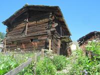 Zermatt, Wanderung nach Zmutt und Furi