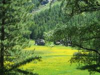 Zermatt, Wanderung nach Zmutt und Furi