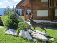 Wanderung zur Bettmeralp