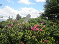 Wanderung von der Bettmeralp zur Riederalp