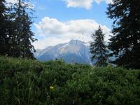 Wanderung von der Bettmeralp zur Riederalp