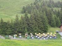 Wanderung von der Bettmeralp zur Riederalp