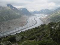 Blick auf den Aletschgletscher von der Moosfluh