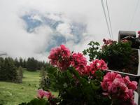 Fahrt von der Riederalp nach Mörel