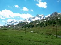 Fahrt mit dem Bernina- Express