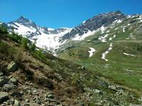 Fahrt mit dem Bernina- Express