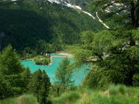 Fahrt mit dem Bernina- Express