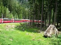 Fahrt mit dem Bernina- Express