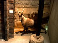 Zermatt, Matterhornmuseum